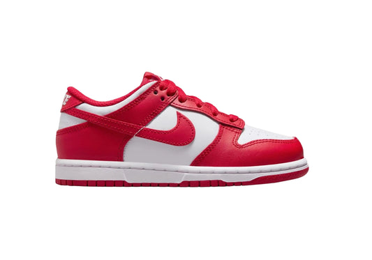 Nike Dunk Low (PSE) Kids