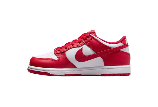 Nike Dunk Low (PSE) Kids